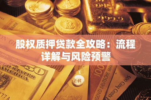 武汉股权质押贷款全攻略：流程详解与风险预警