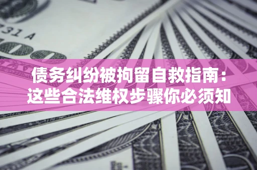武汉债务纠纷被拘留自救指南：这些合法维权步骤你必须知道！