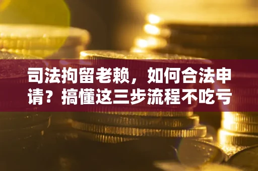 武汉司法拘留老赖，如何合法申请？搞懂这三步流程不吃亏！