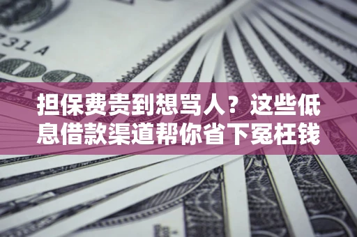 武汉担保费贵到想骂人？这些低息借款渠道帮你省下冤枉钱
