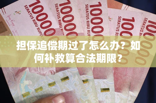 武汉担保追偿期过了怎么办？如何补救算合法期限？