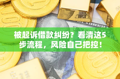 武汉被起诉借款纠纷？看清这5步流程，风险自己把控！