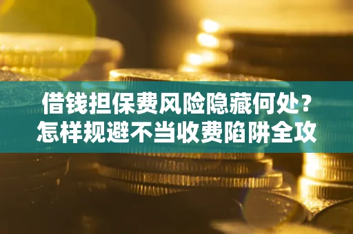 武汉借钱担保费风险隐藏何处？怎样规避不当收费陷阱全攻略！