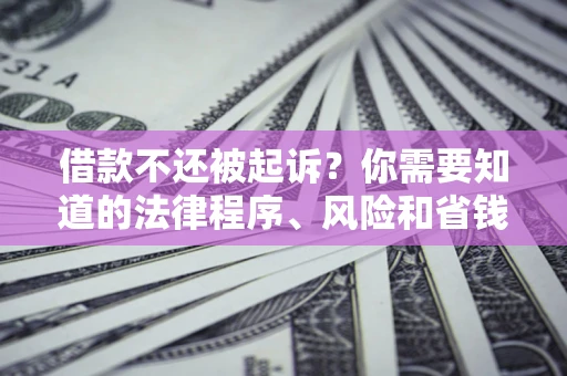 武汉借款不还被起诉？你需要知道的法律程序、风险和省钱技巧