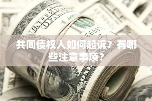 武汉共同债权人如何起诉？有哪些注意事项？